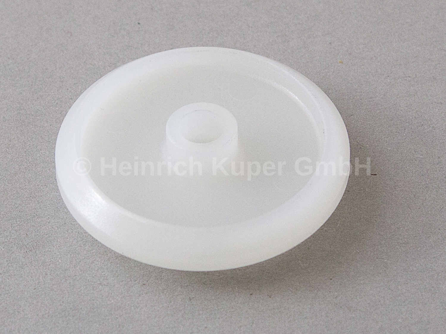 Führungsrolle Striebig 91-01-34100-10, 001.184
