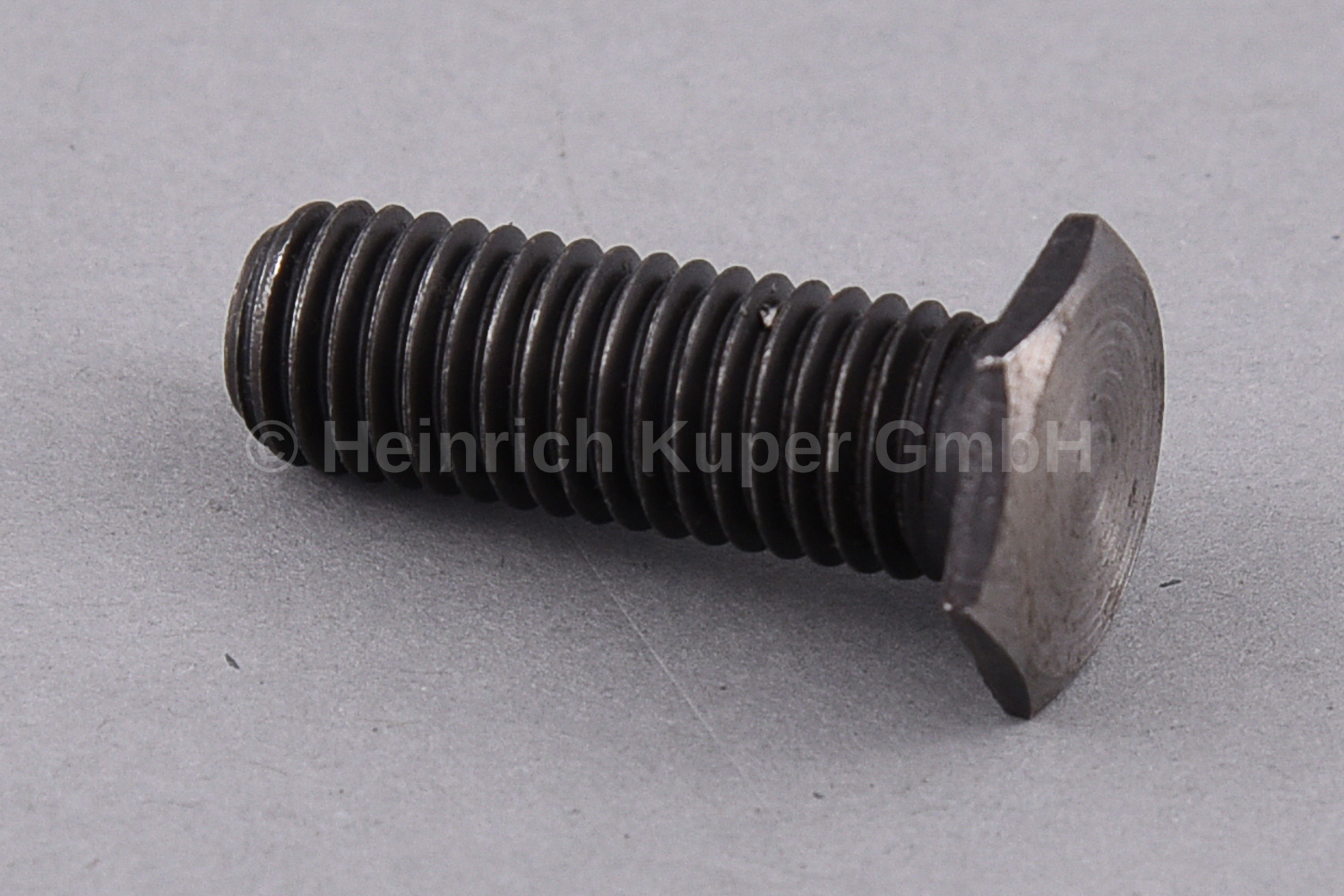 Lagerschraube Striebig 68-03-337-10, 003.144