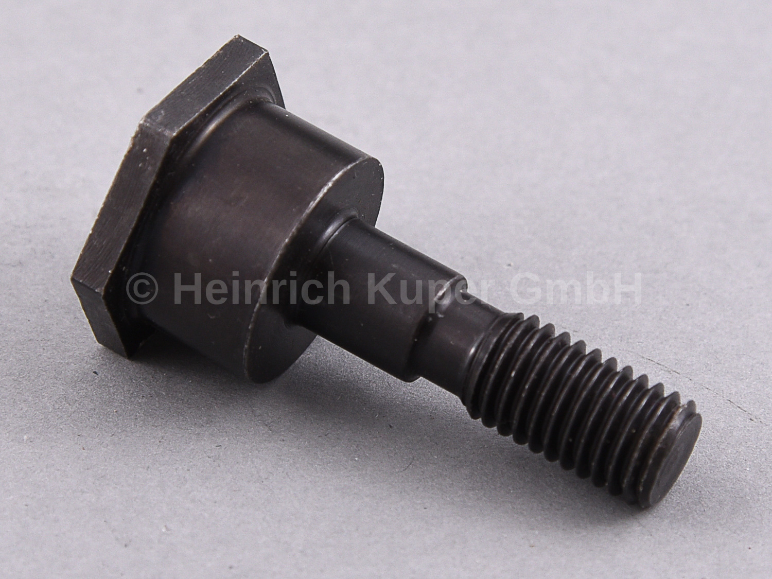 Exzenterbolzen Striebig 002.263