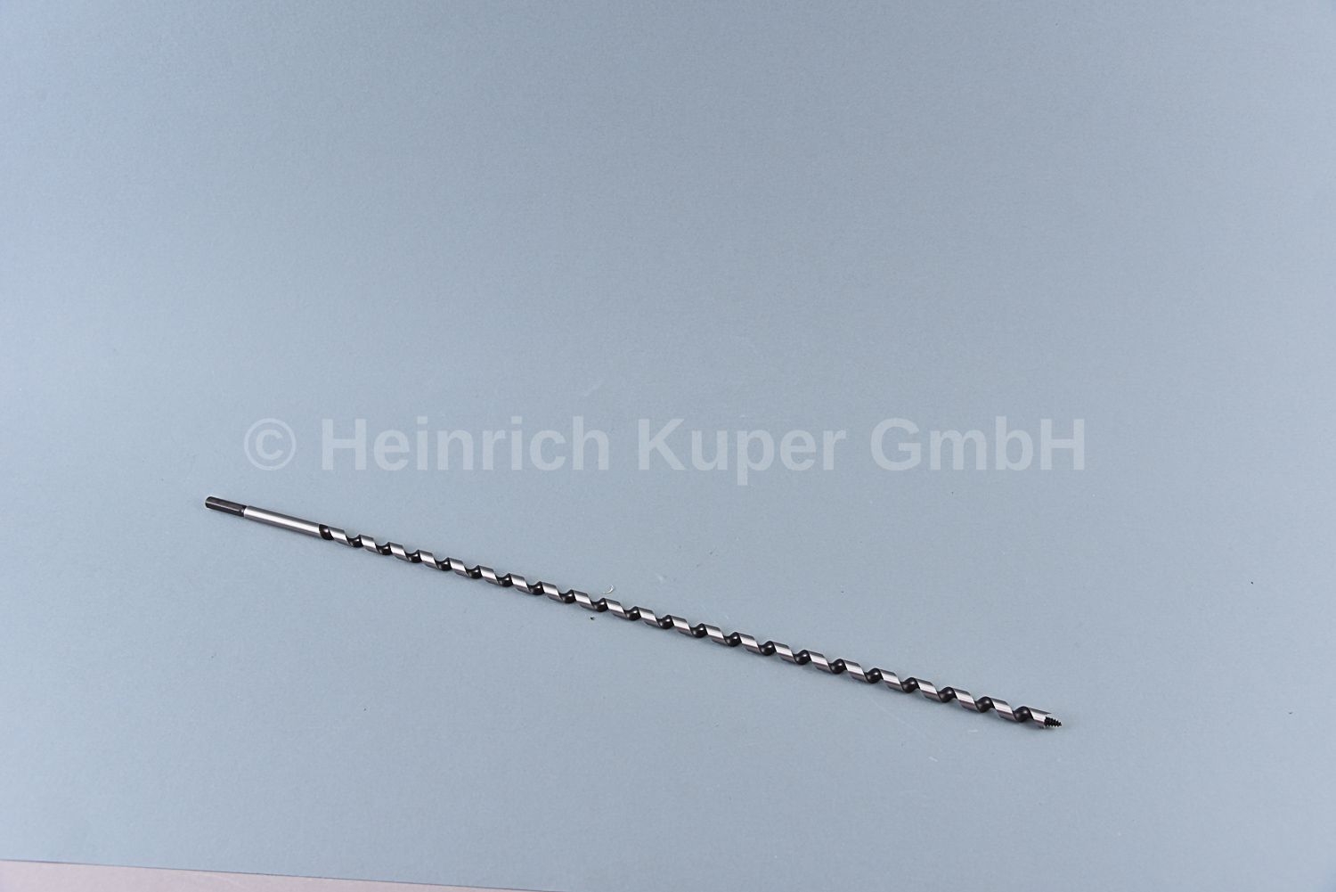 Schlangenbohrer LEWIS 8x460mm             FORUM