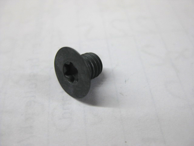 TORX-Senkschraube T20 M5x6 mm Altendorf K3050.0007 für Rapido Vorritzer Sägeblatt