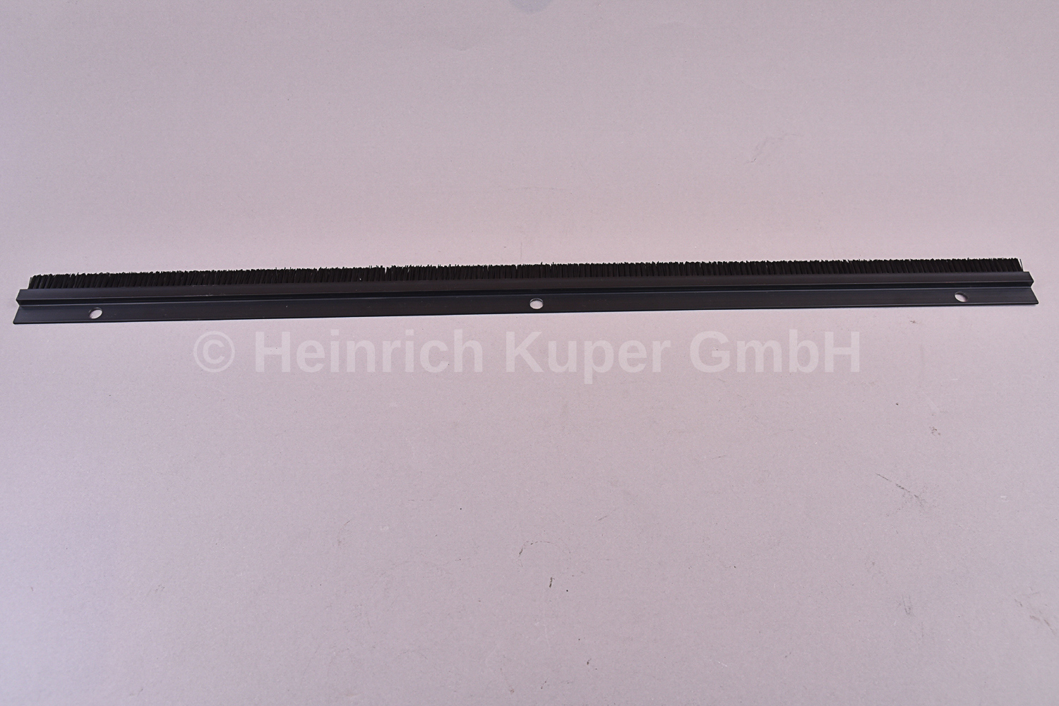 Abstreifer Bürste SW 72/82 710 Holzma 710mm lg. 3-405-01-0980