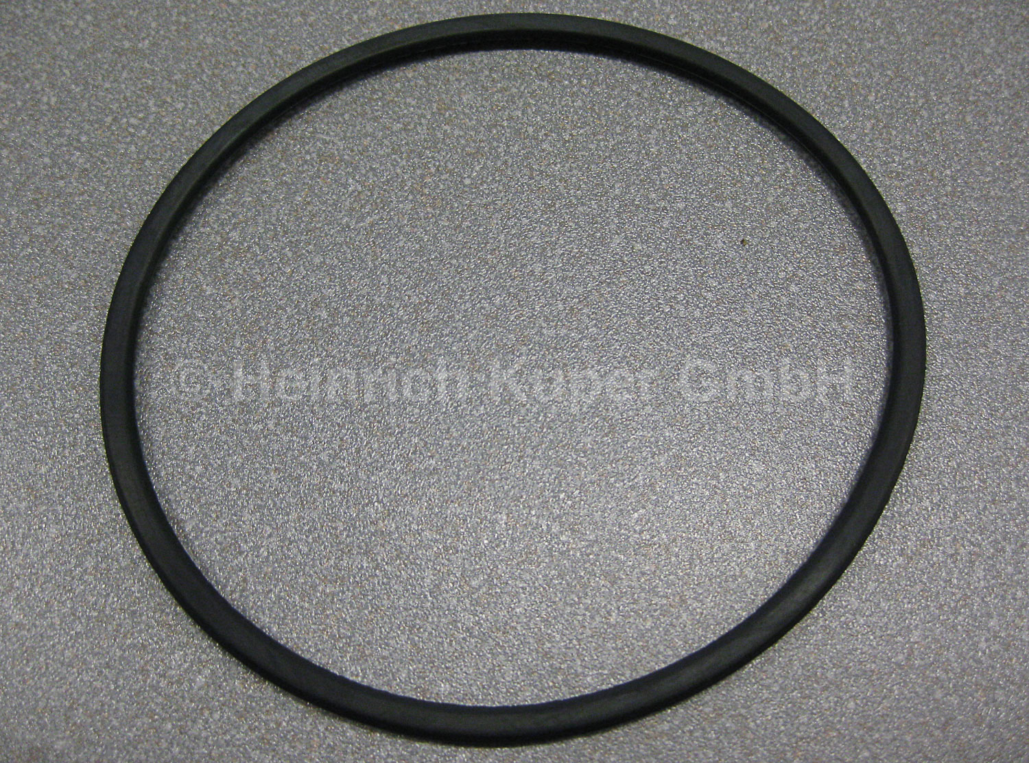 Dichtung Biesse 1419A0041