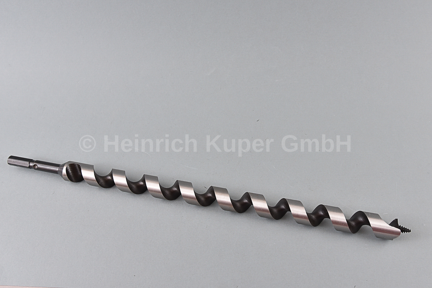 Schlangenbohrer LEWIS 24X460mm           FORUM