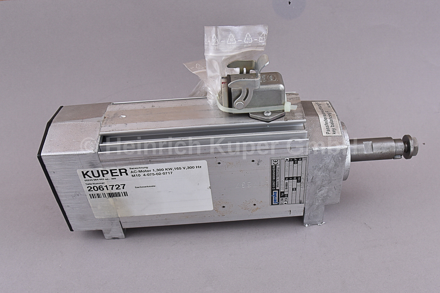 AC-Motor 1,300 KW,165 V,300 Hz M10  4-075-02-0717 Homag