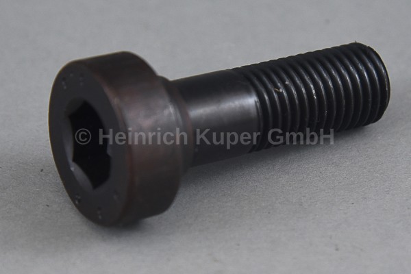 Zylinderschraube M20x30 LH 8.8
DIN 7984 4-001-10-0038
