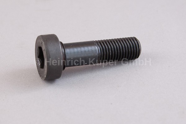 Schraube M16x55 3-013-19-0540